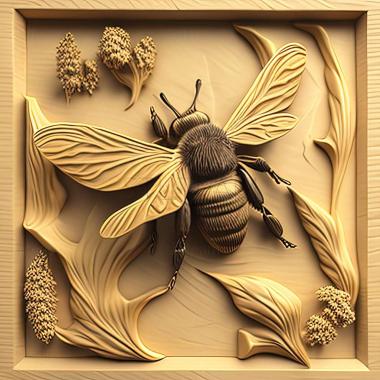 3D модель Bombus filchnerae (STL)